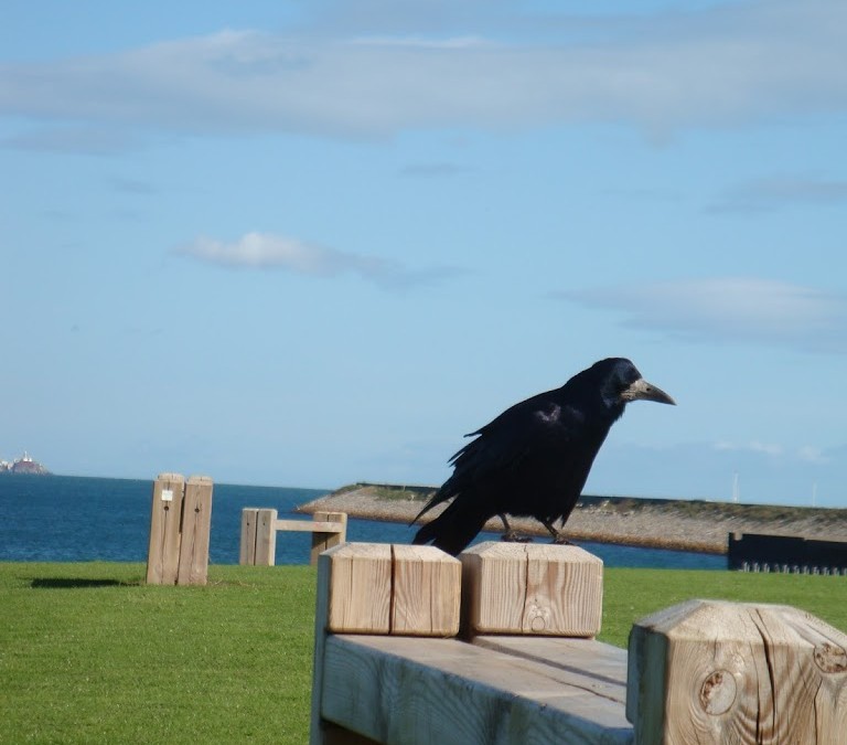 Inspirational Ireland