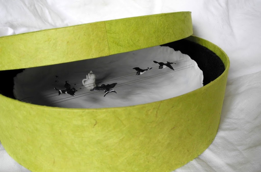 Story Bowl: Cat and swallows